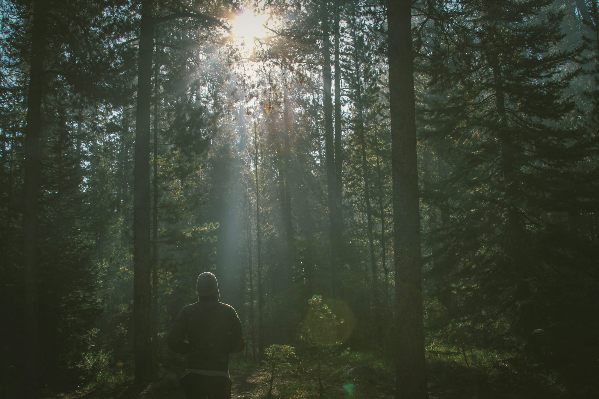 Embracing Outdoor Fitness: The Transformative Power of Exercising in Nature post thumbnail image